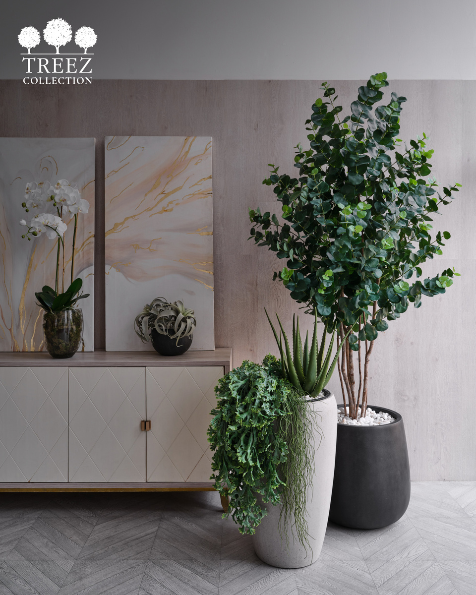 Кашпо и растения Treez Collection