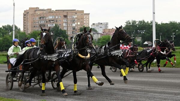    © Sputnik / Павел Бедняков