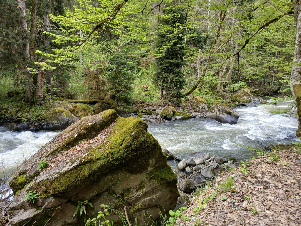 Красивая природа. Грузия 