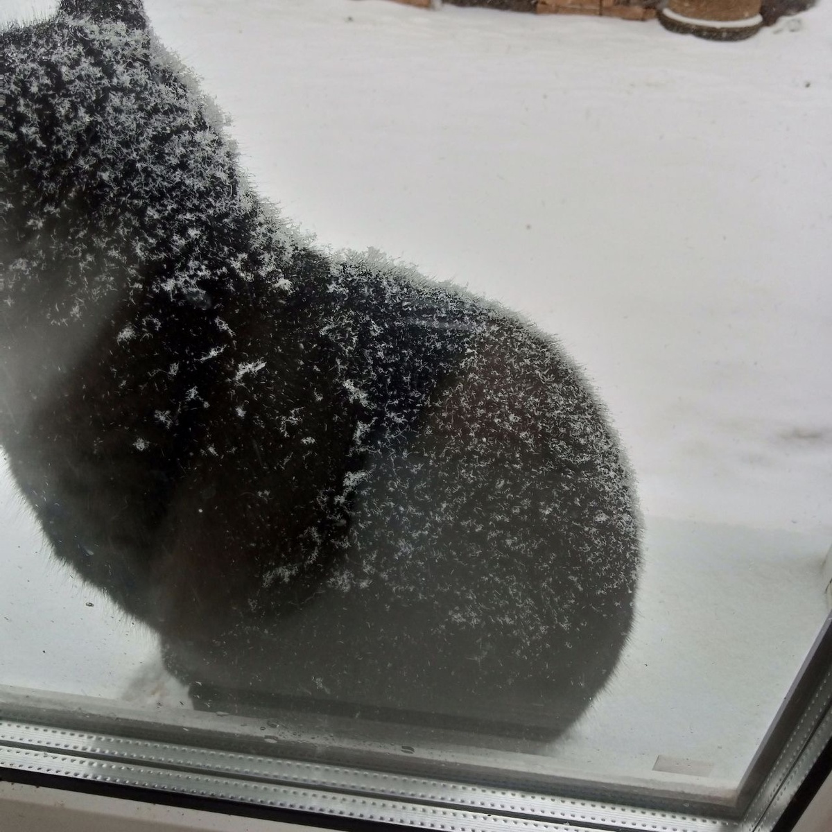 Снеговик Черномырдин очень приятно))))