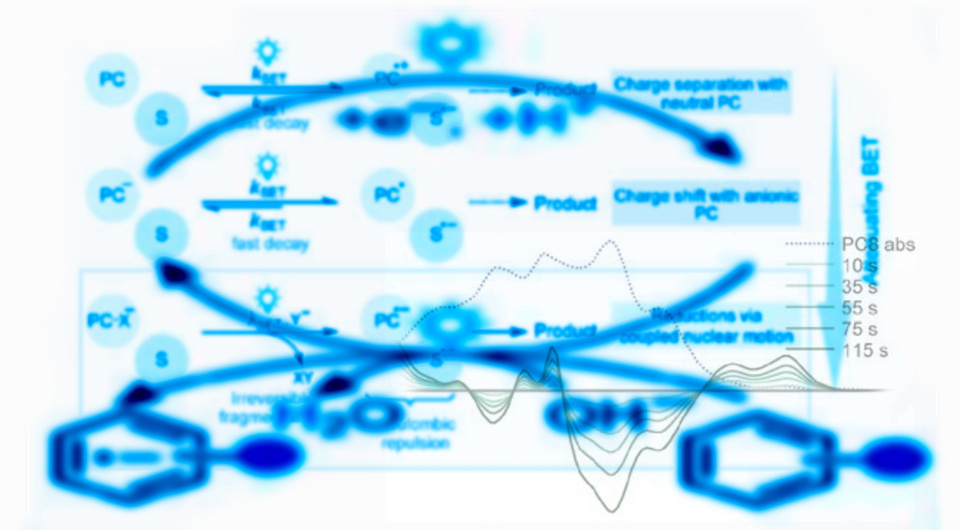   N + 1; Amreen K. Bains et al. / Science, 2025