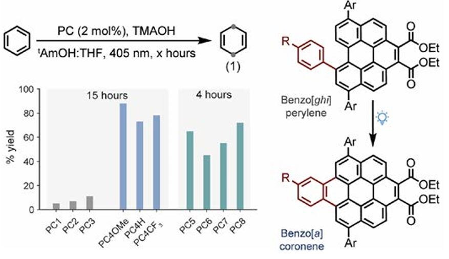   Amreen K. Bains et al. / Science, 2025