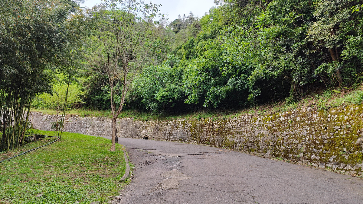 Дорога в гору