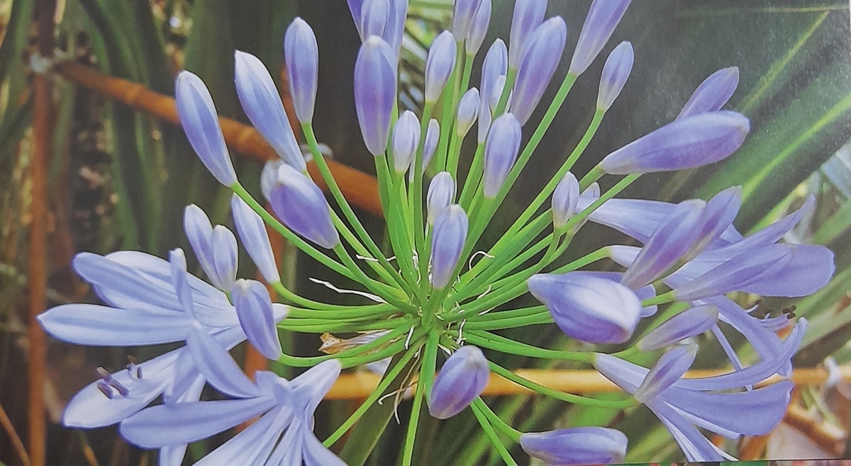 Фото автора канала