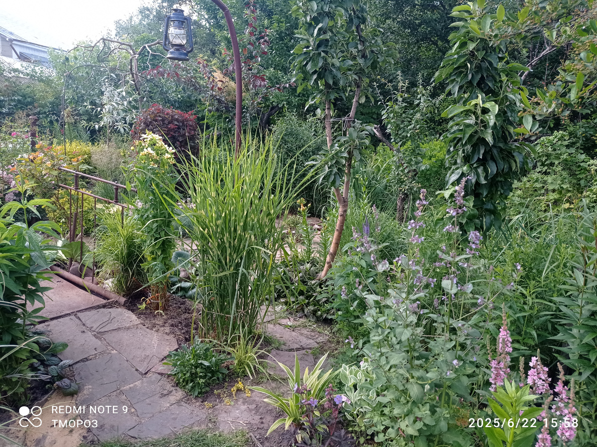 немного подумала