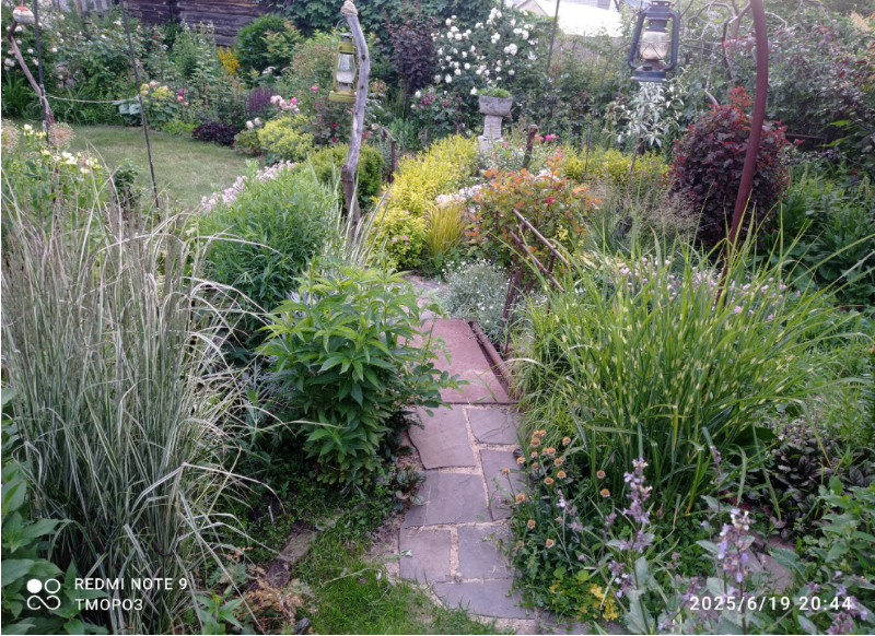 без времени