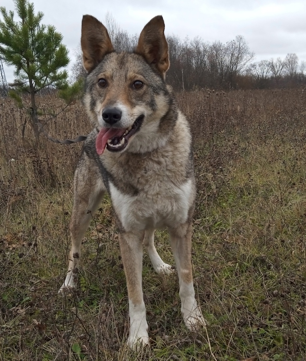 Молодая, активная девочка