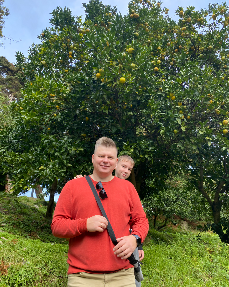 Ядовитые растения иногда похожи на настоящие