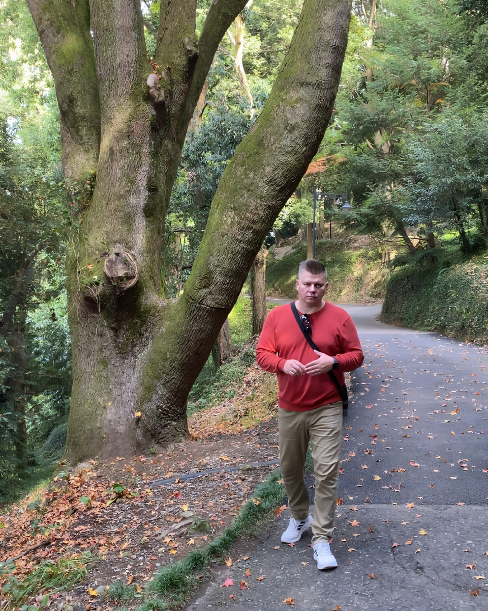 Деревья поросшие мхом 