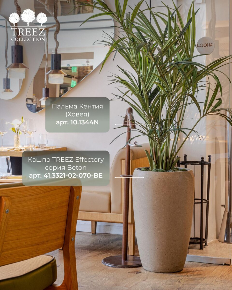 Кашпо и растения Treez Collection