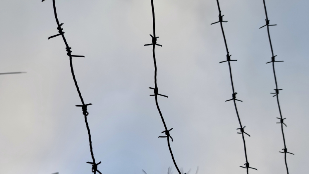    Фото: Maksim Konstantinov/Globallookpress