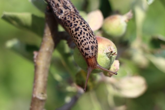     Фото freepik.com, pixabay