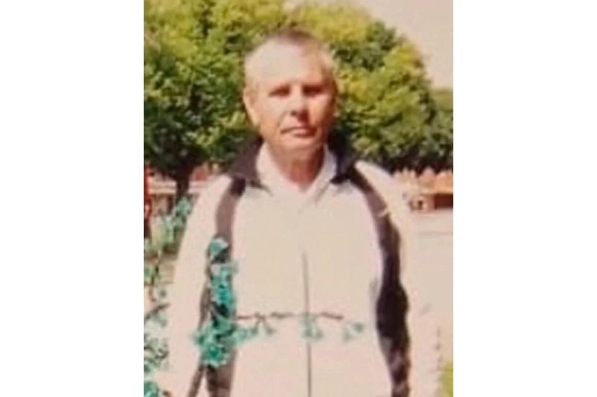    Третьи сутки в лесу Тверской области ищут 88-летнего Евгения Лебедева