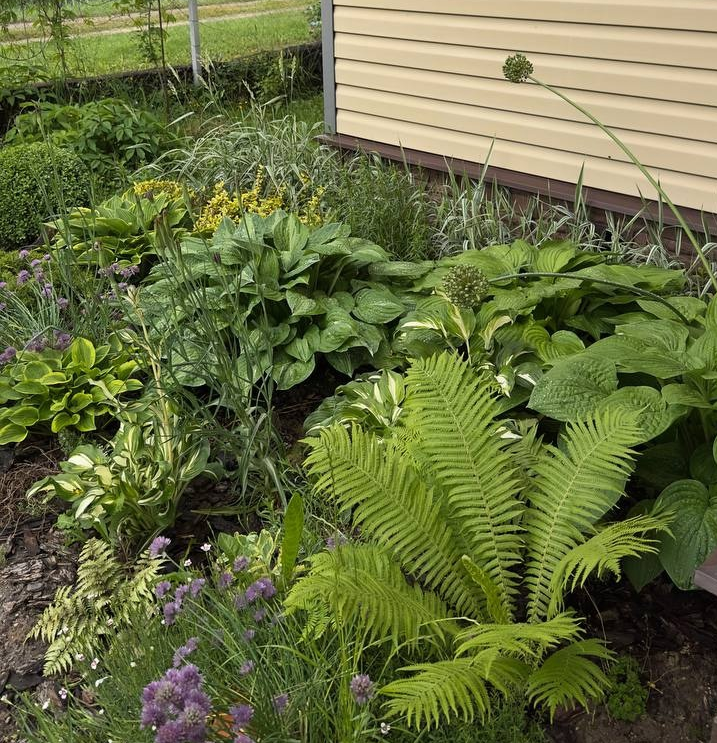 Мой цветник, украшающий входную зону. 