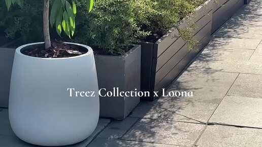 Treez Collection | Treez х Loona: итальянский уют в каждом кашпо ...
