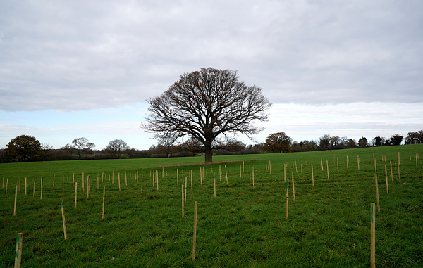 Edward Smith/Getty Images