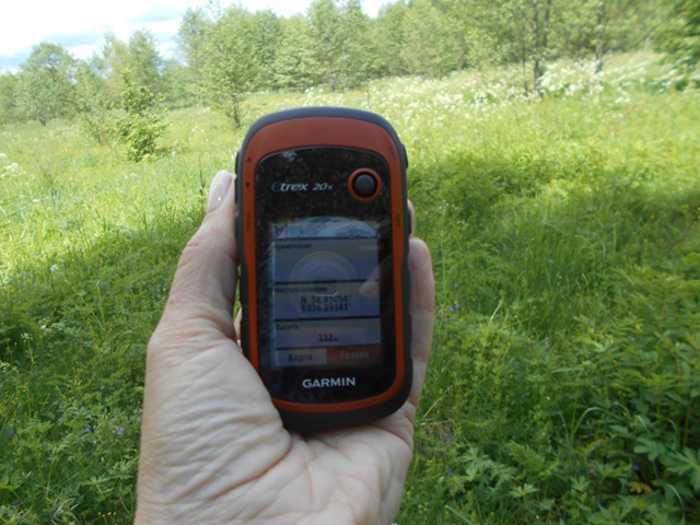 «Спас на Холму» в Тверской области нуждается в спасении. Зарос