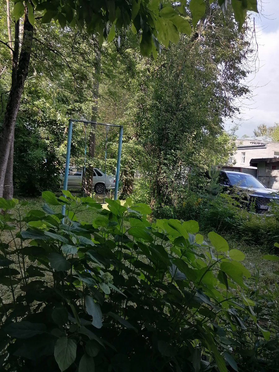 Фото автора. Качели во дворе