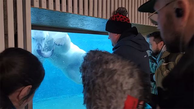 Внук «ангела косолапых» работает в Московском зоопарке с белыми медведями