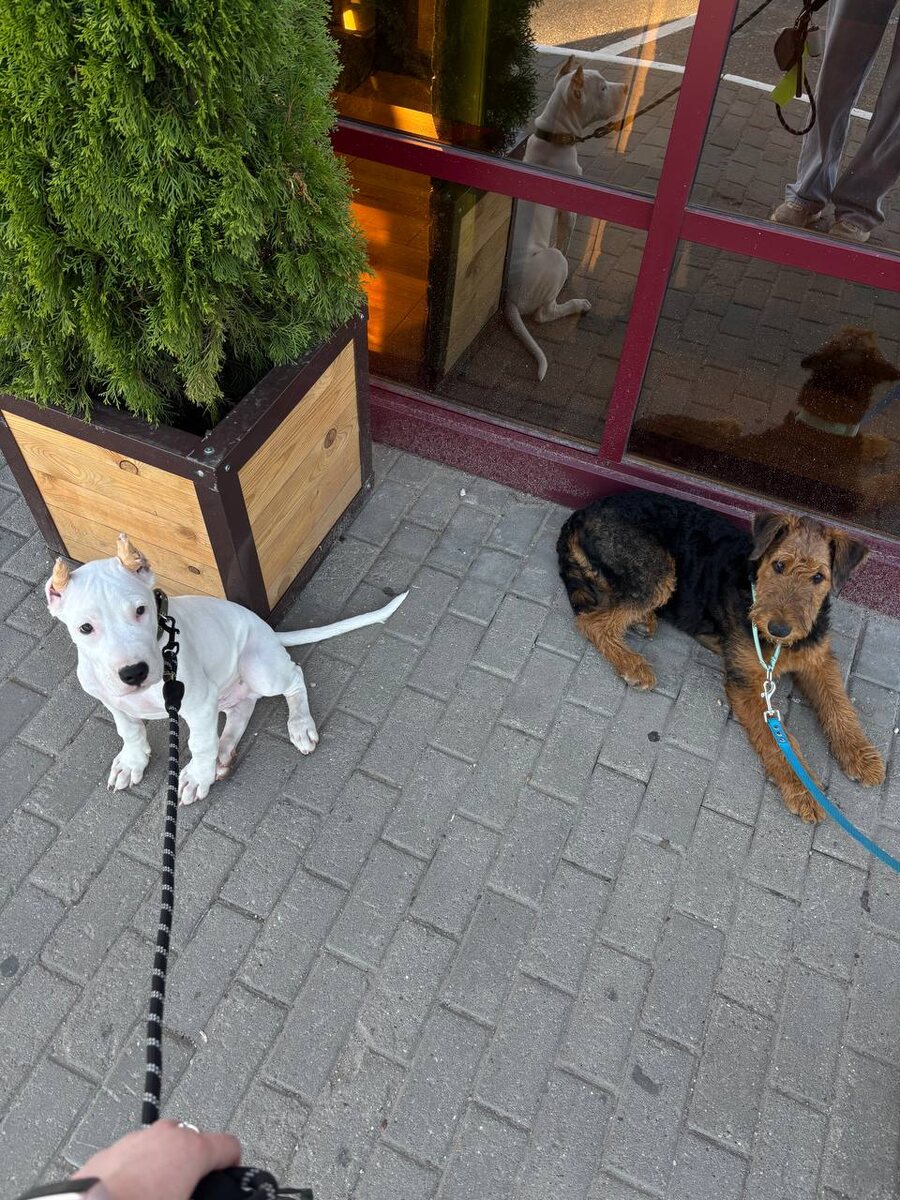 Фото прислано хозяйкой