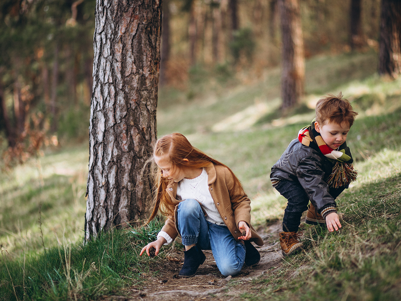 Значимую часть летних каникул и осенних выходных я проводила с мамой в лесу за сбором грибов и ягод. С тех пор я заядлый любитель тихой охоты