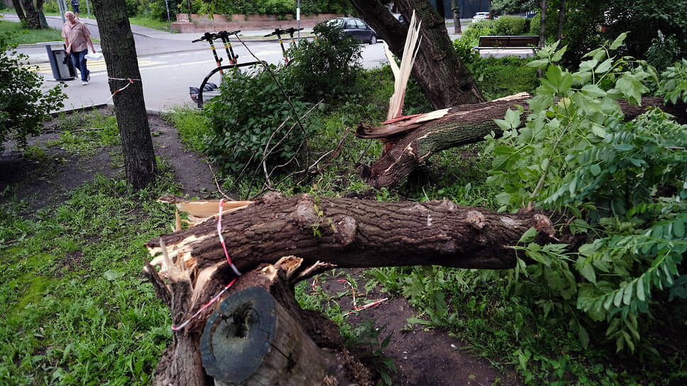 Фото: Алексей Назаров / Коммерсантъ