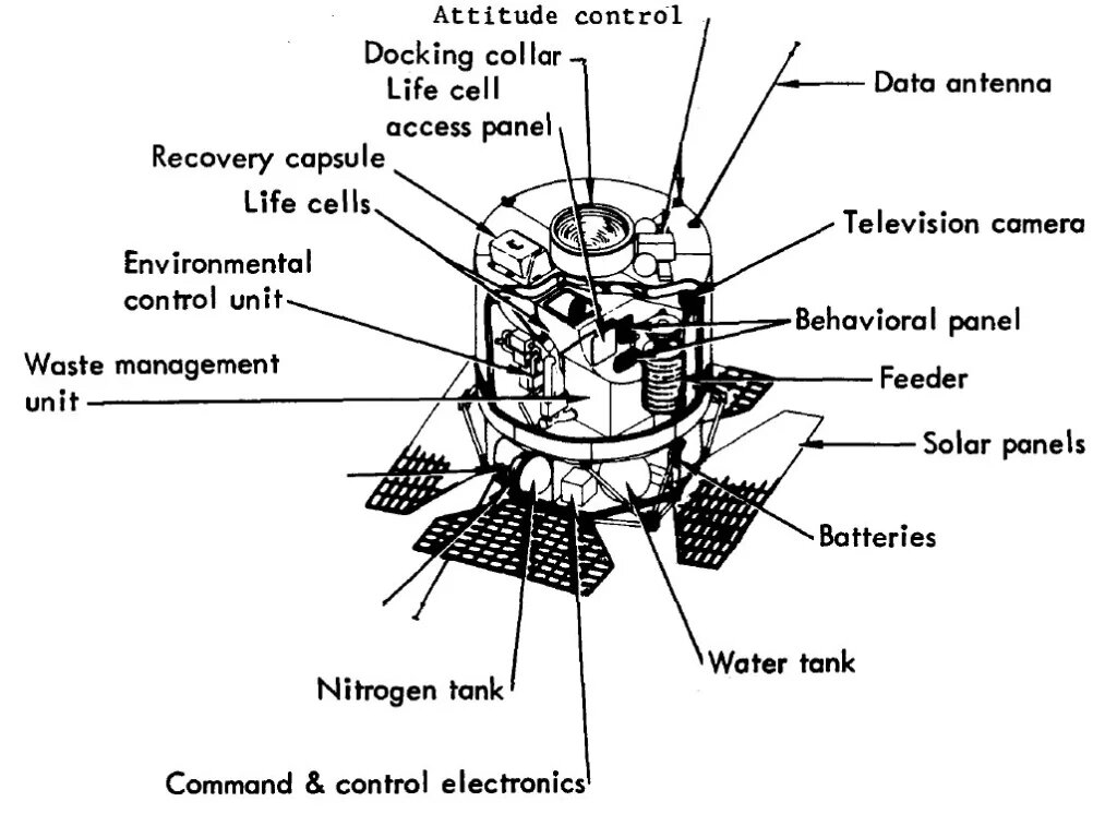 Схема  орбитального космического корабля для приматов (Orbiting Primate Spacecraft)