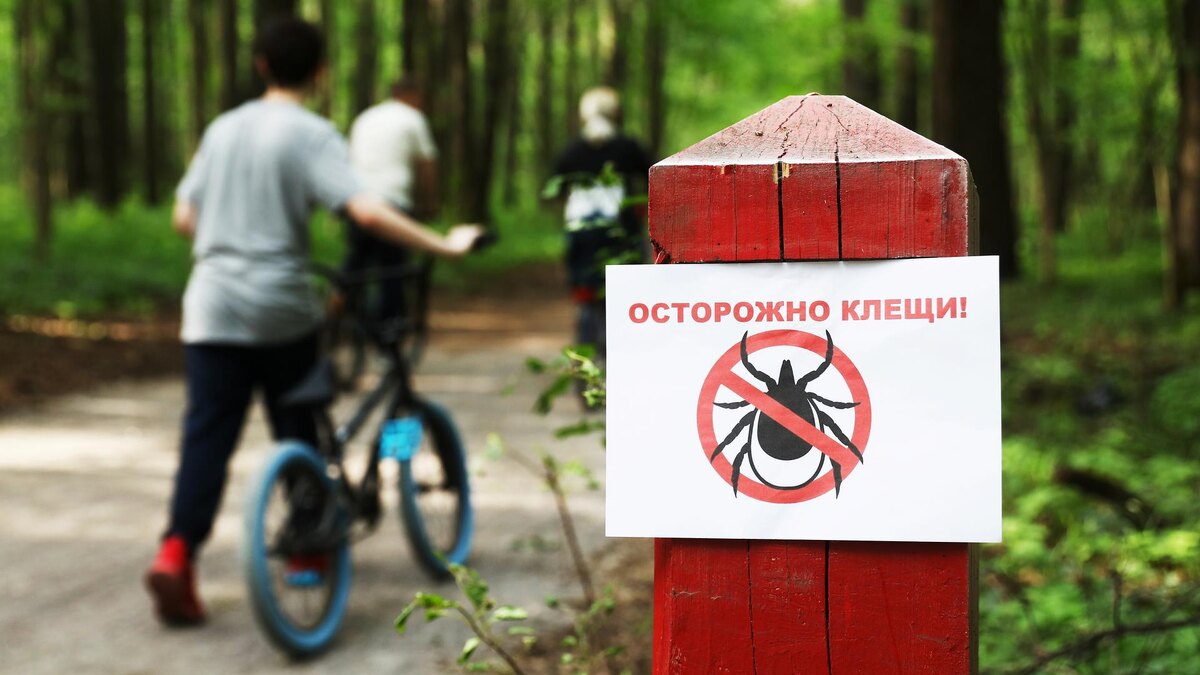    Фото: ИЗВЕСТИЯ/Юлия Храмцова