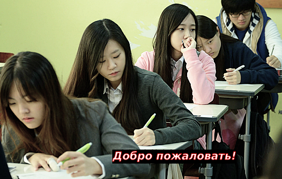 https://avatars.dzeninfra.ru/get-zen_doc/271828/pub_68546b98ba75694232159437_68546ba99674506b1fb1d692/scale_1200