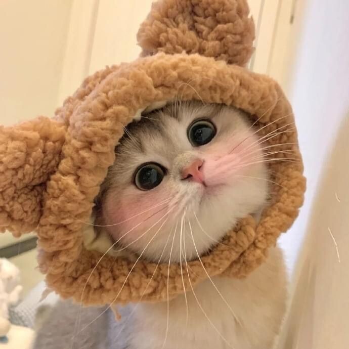 источник Яндекс-картинки