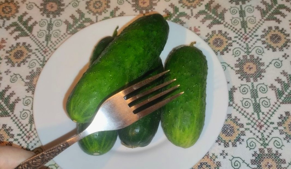    Фото: Редакция Дни.ру