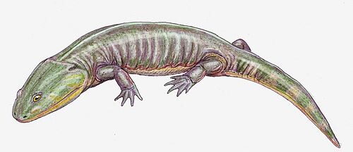 Апачезавр от Дмитрия Богданова.