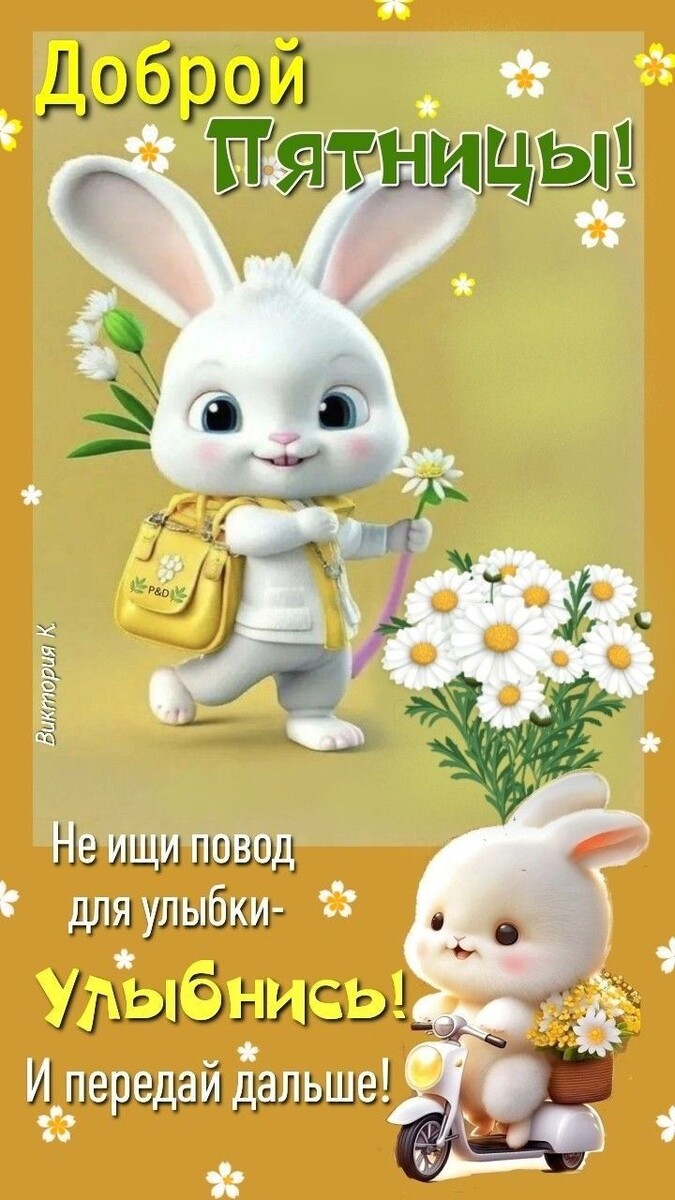 Фото из открытого источника в интернете.