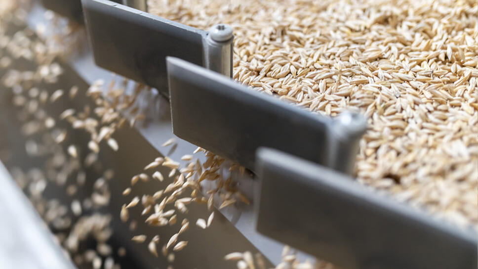 В 2024 году поставки кубанской продукции в Египет увеличились в полтора раза, а в Бангладеш — почти в два.📷Фото: Игорь Елисеев / Коммерсантъ