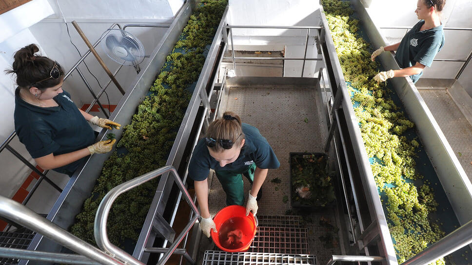 Многие кубанские компании переходят на полный цикл производства — от выращивания сырья до переработки, складирования и перевозки.📷Фото: Юрий Мартьянов / Коммерсантъ