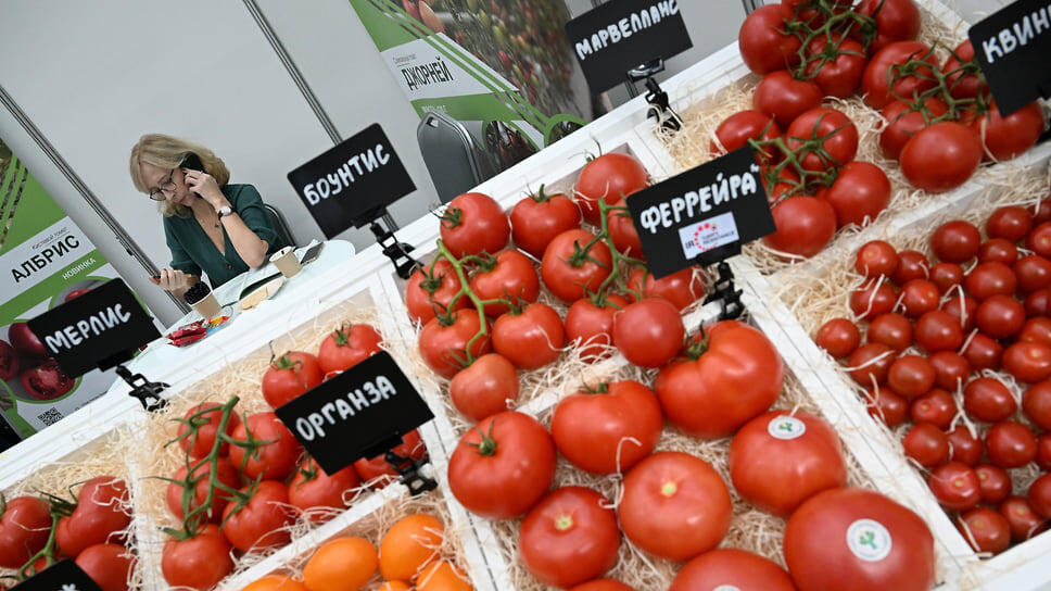 Отечественным производителям приходится конкурировать с поставщиками из Китая, Ирана, Узбекистана.📷Фото: Игорь Иванко / Коммерсантъ