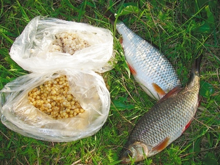     Фото: Маилкова Анатолия.