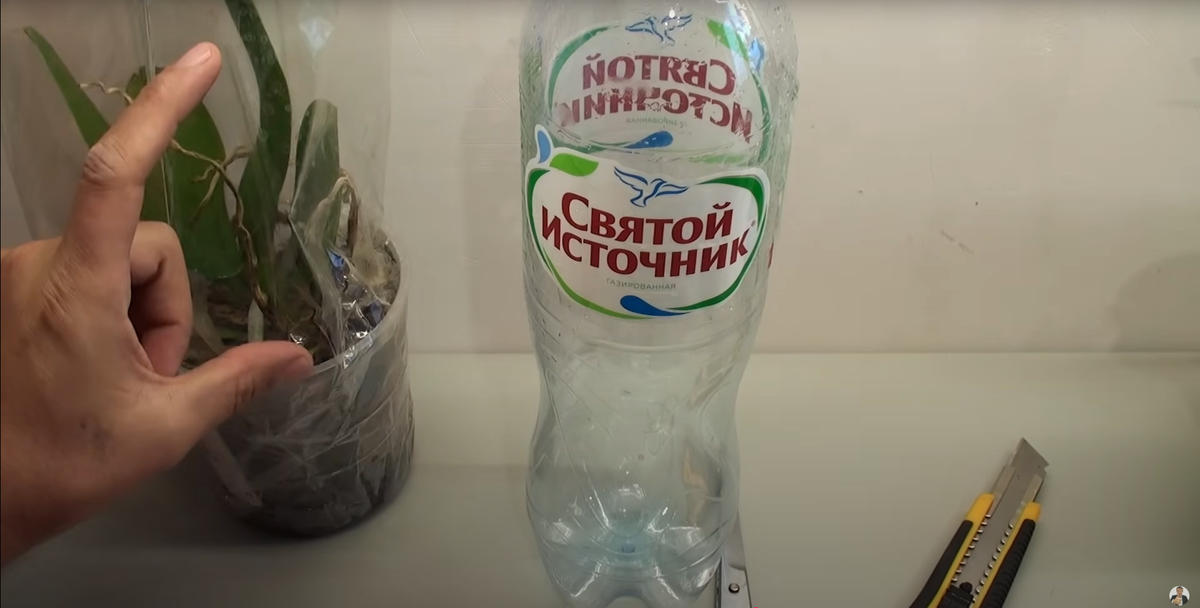 Как нарастить корни орхидеи с пластиковой бутылкой