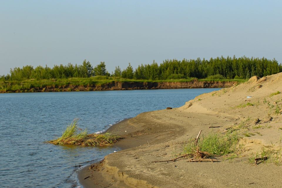    Дюны в окрестностях Барнаула. Июнь 2025 года. Источник: Виталий Барабаш