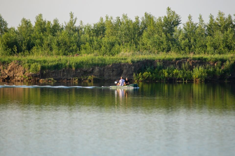    Дюны в окрестностях Барнаула. Июнь 2025 года. Источник: Виталий Барабаш