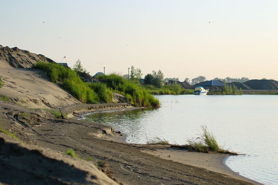    Дюны в окрестностях Барнаула. Июнь 2025 года. Источник: Виталий Барабаш