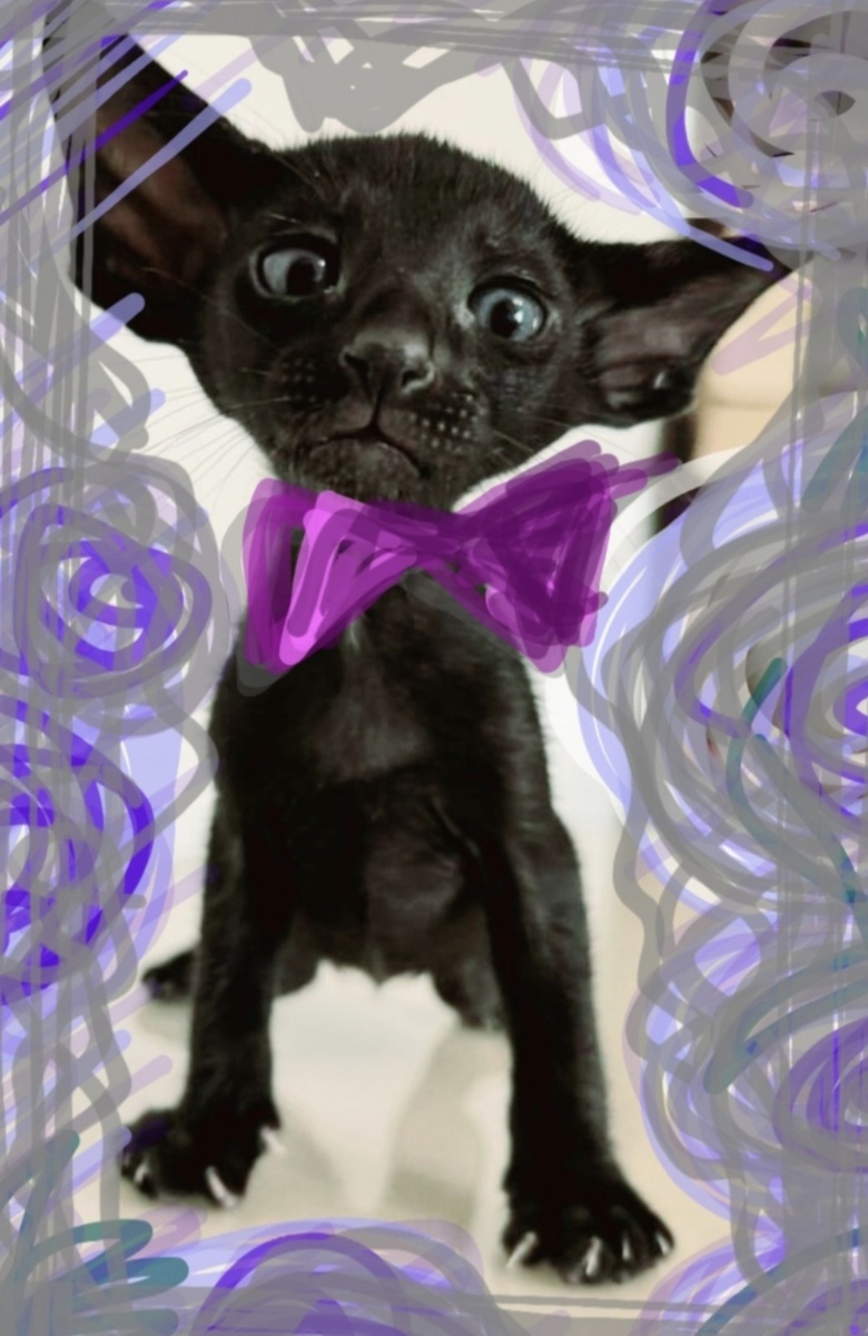 Фотоколлаж - собственность автора канала "ТАК НАДО".