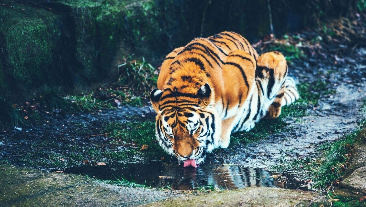     Источник: unsplash.com