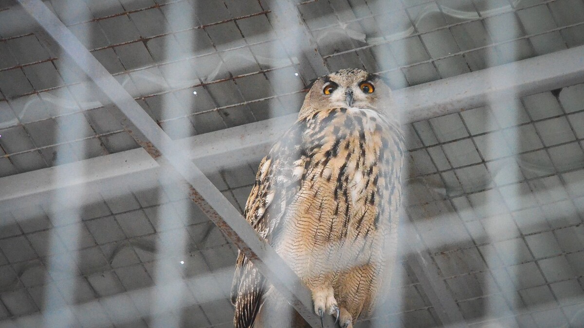     Источник: 1MI