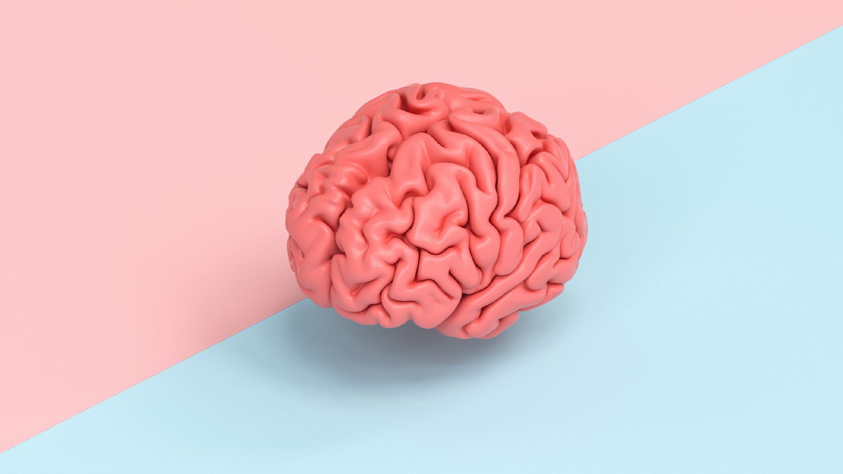 Фото: r.classen / Shutterstock.com