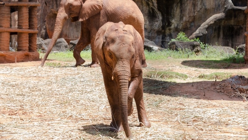     Фото: @kasipat / freepik.com