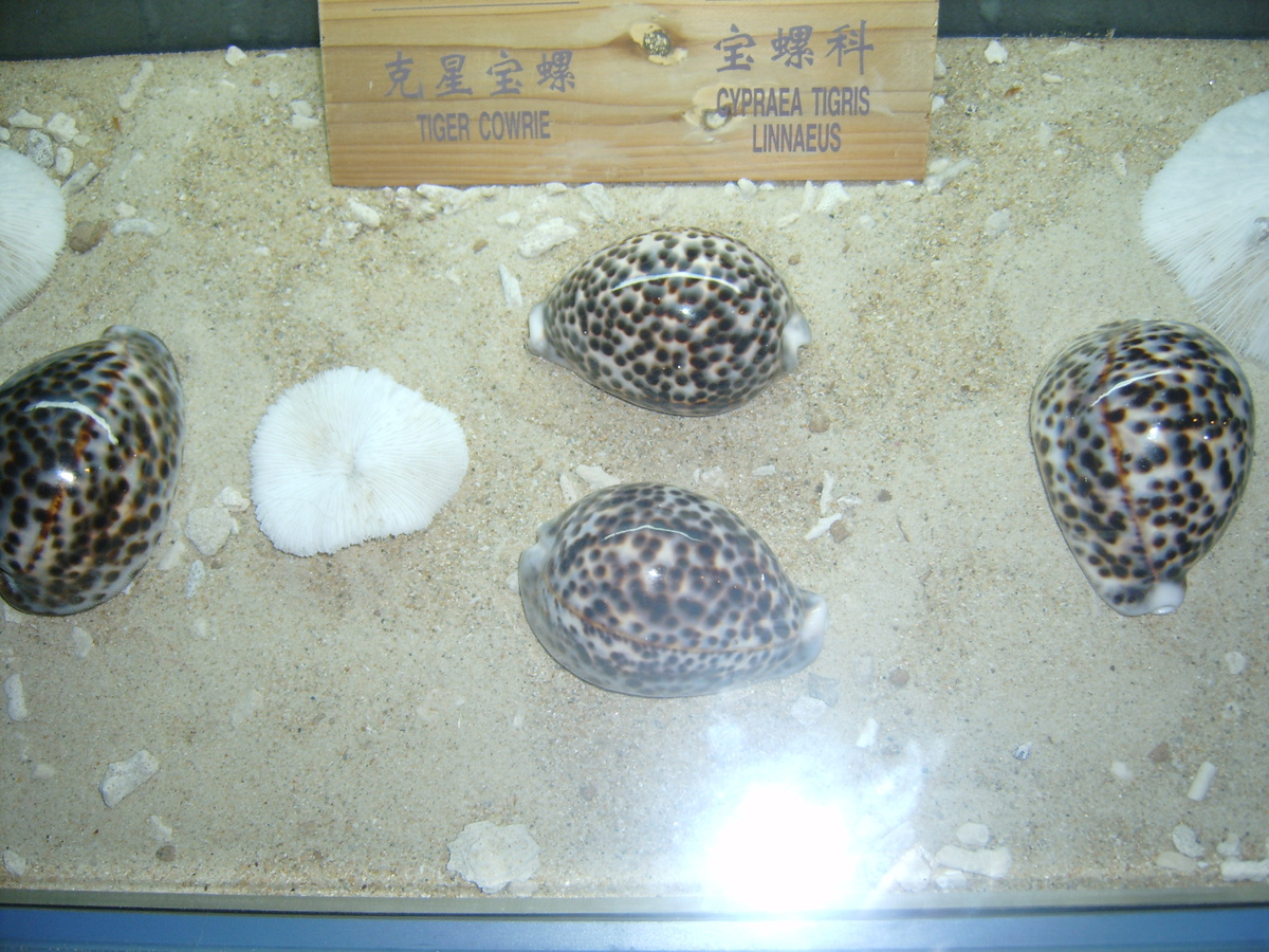 Фото автора канала