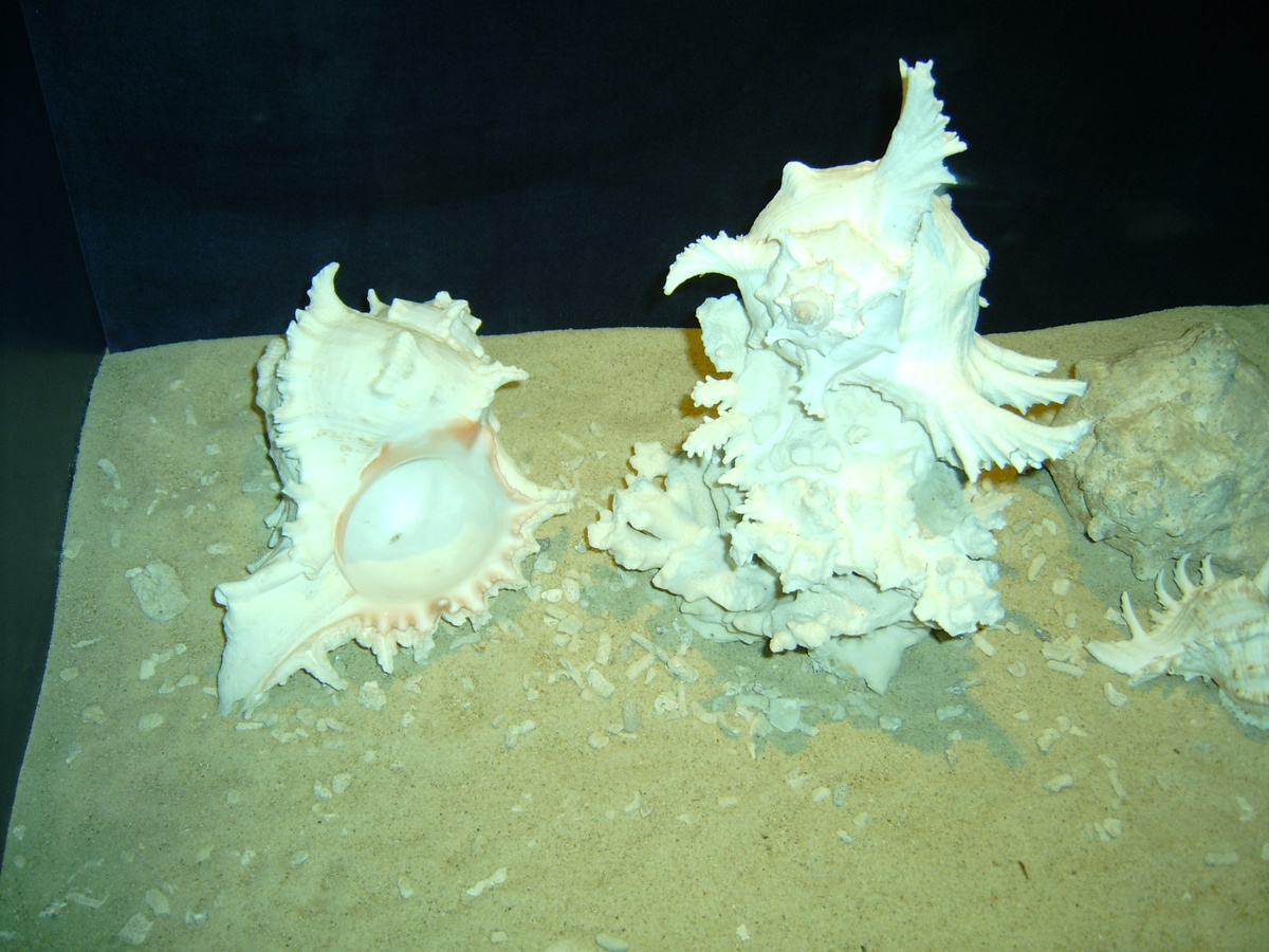 Фото автора канала