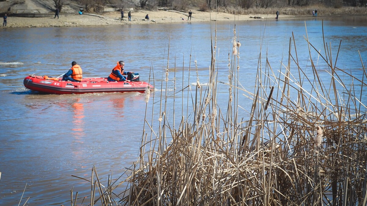     Источник: 1MI