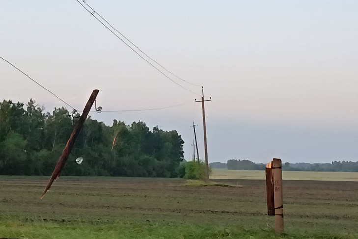    Фото "Россети Новосибирск"